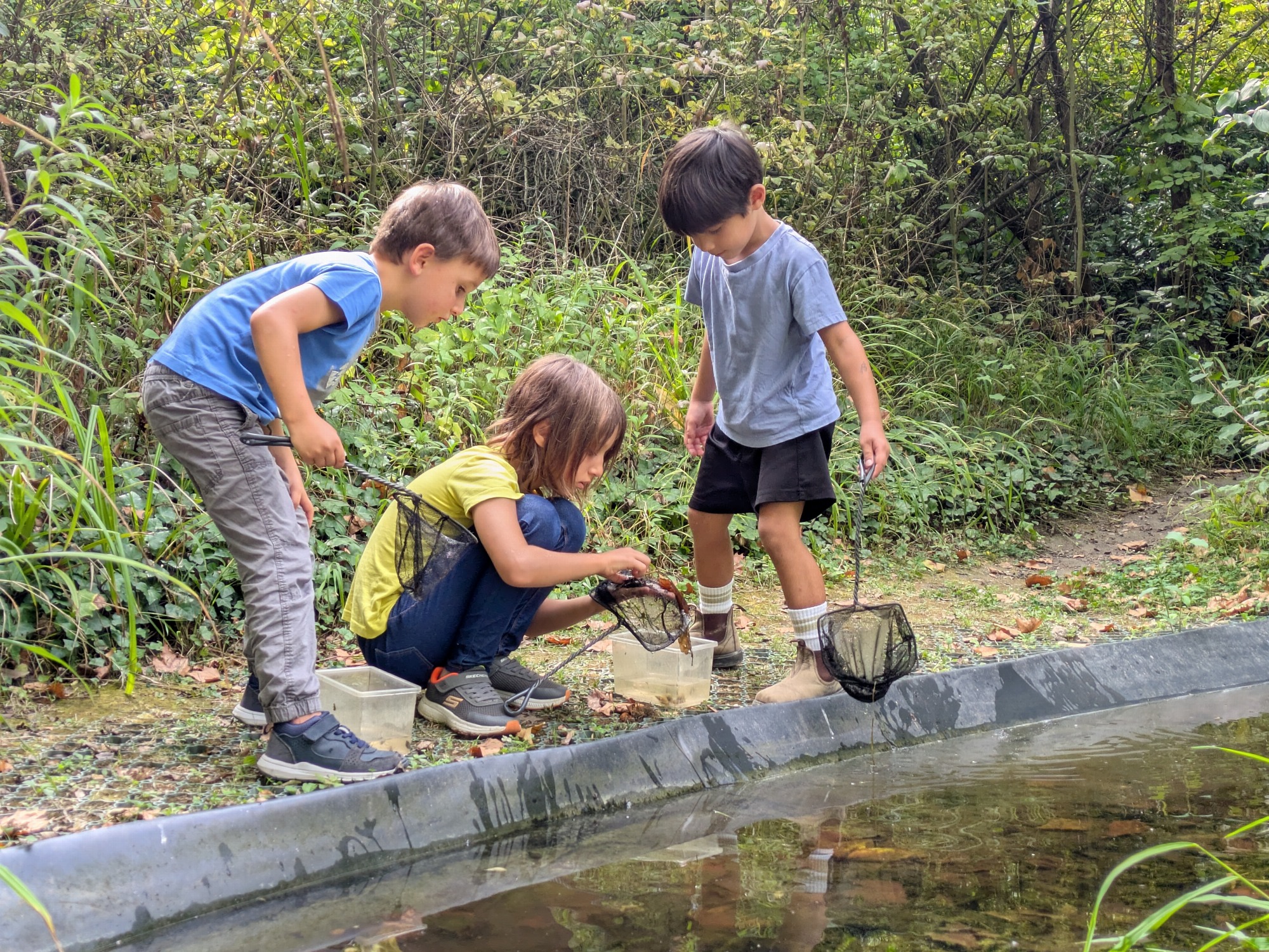 Les habitants de la mare_Tupin-et-Semons