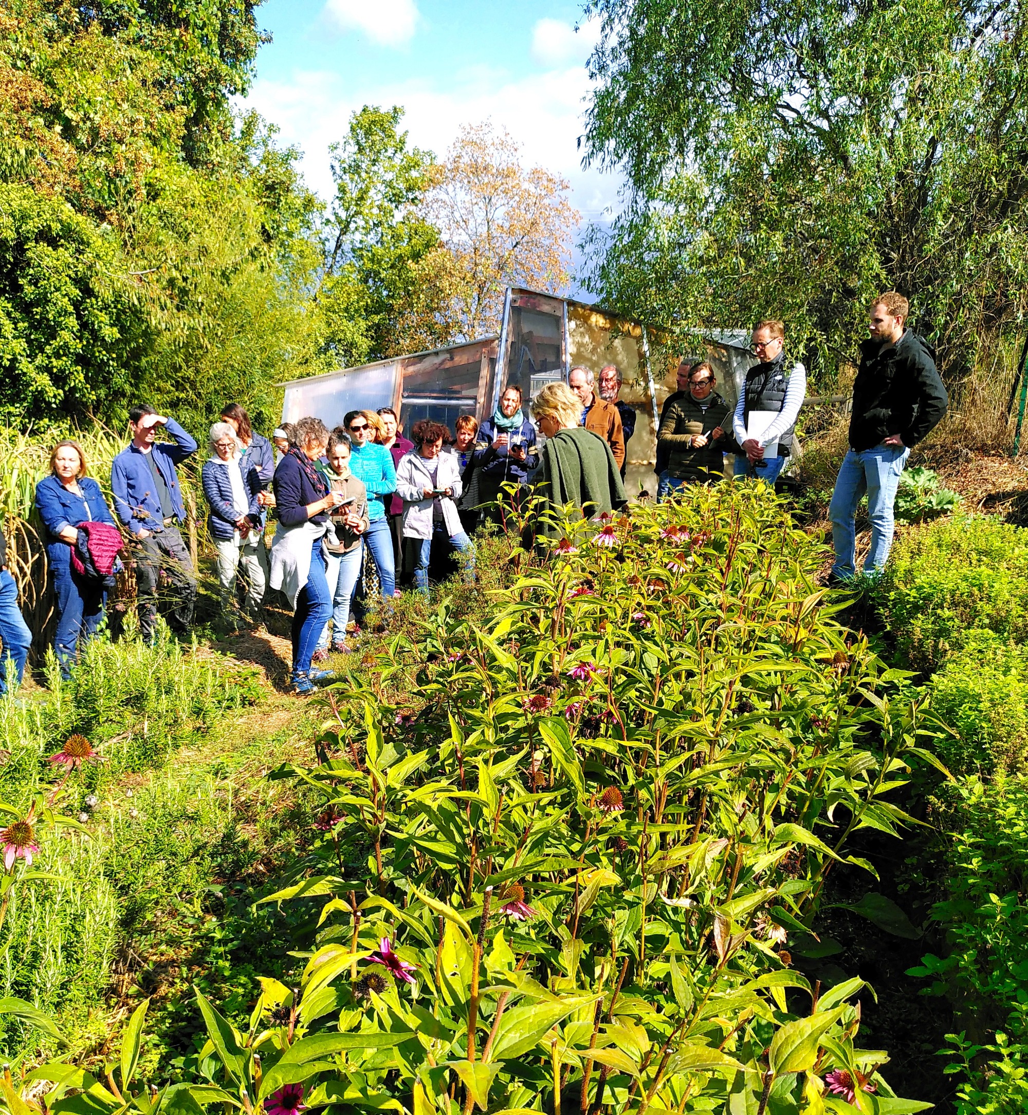 Visite Guidée des jardins