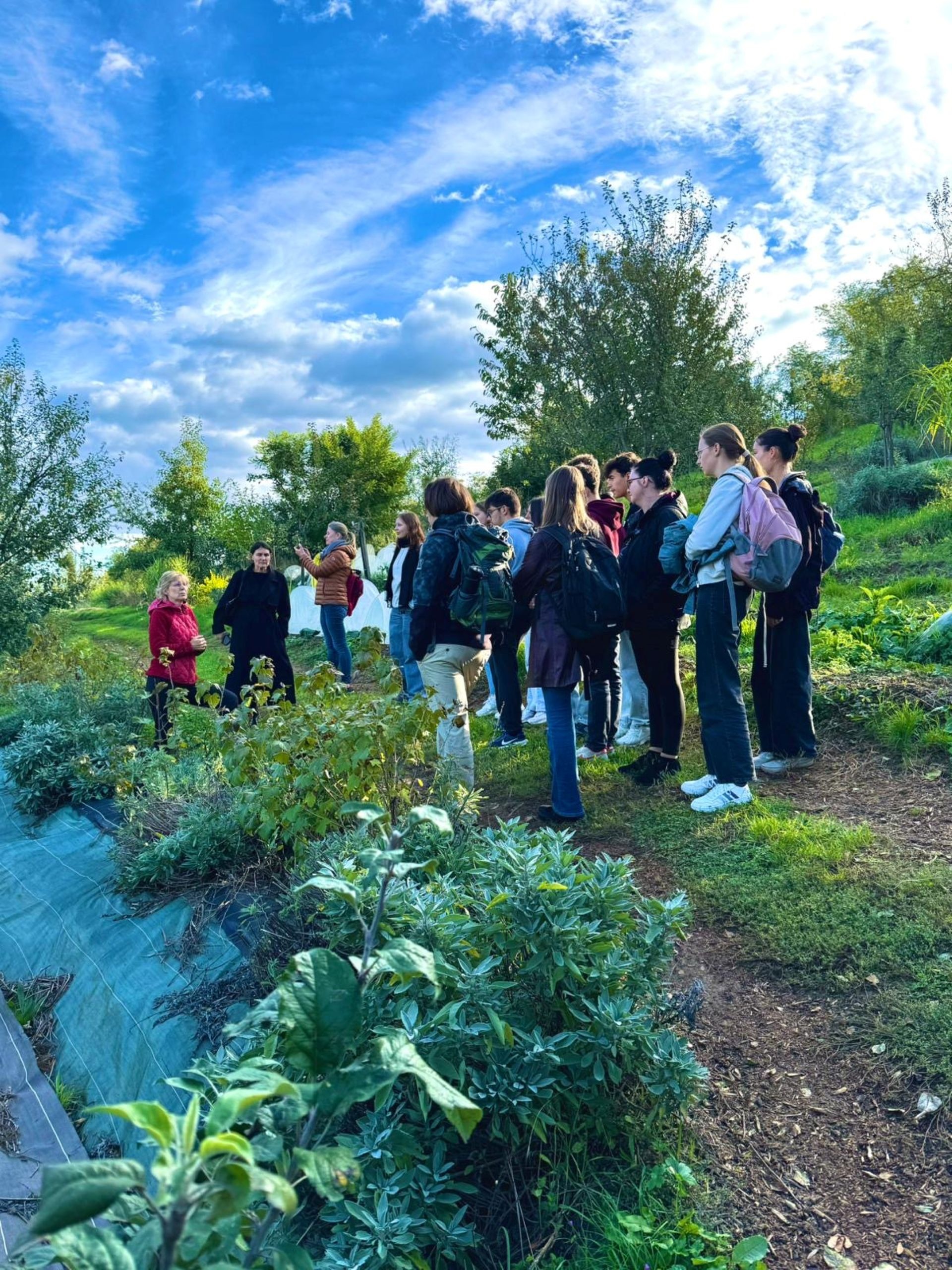 Visite commentée des Jardins de la Source Dorée