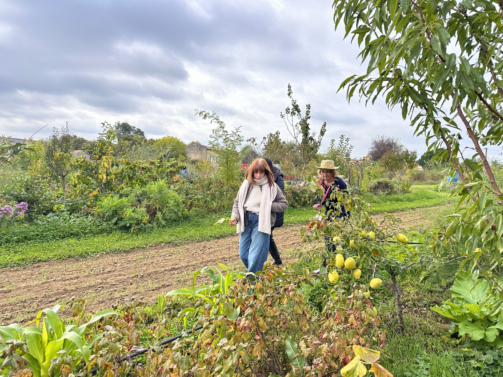 Visite du jardin-forêt_Le Croissant Fertile_MORNANT