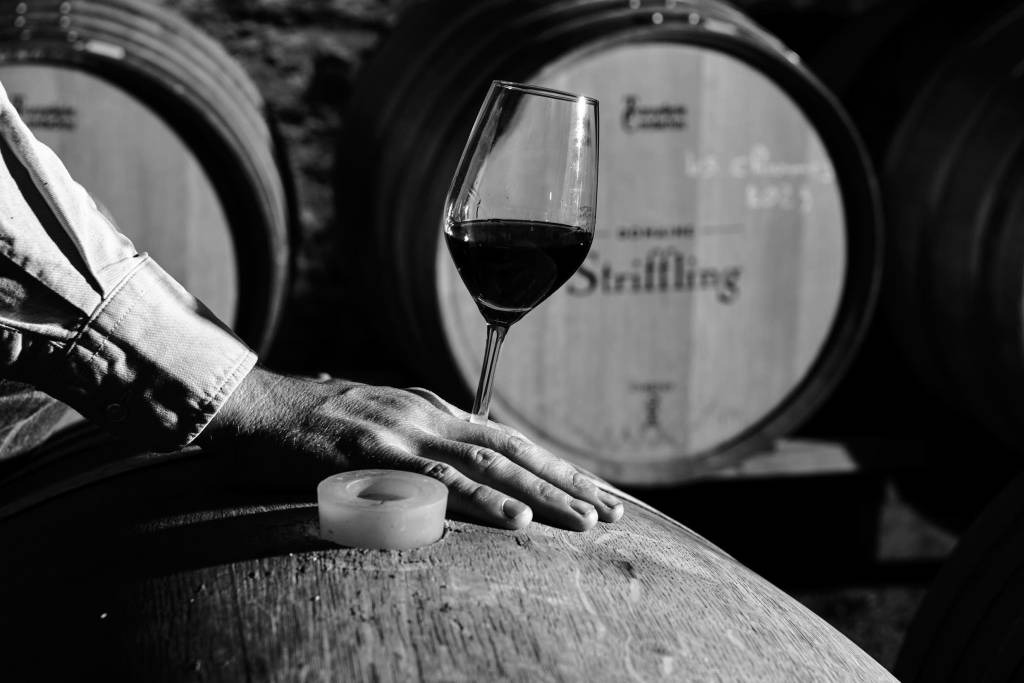 Visite des vignes au cuvage et dégustation au domaine Striffling_Régnié-Durette