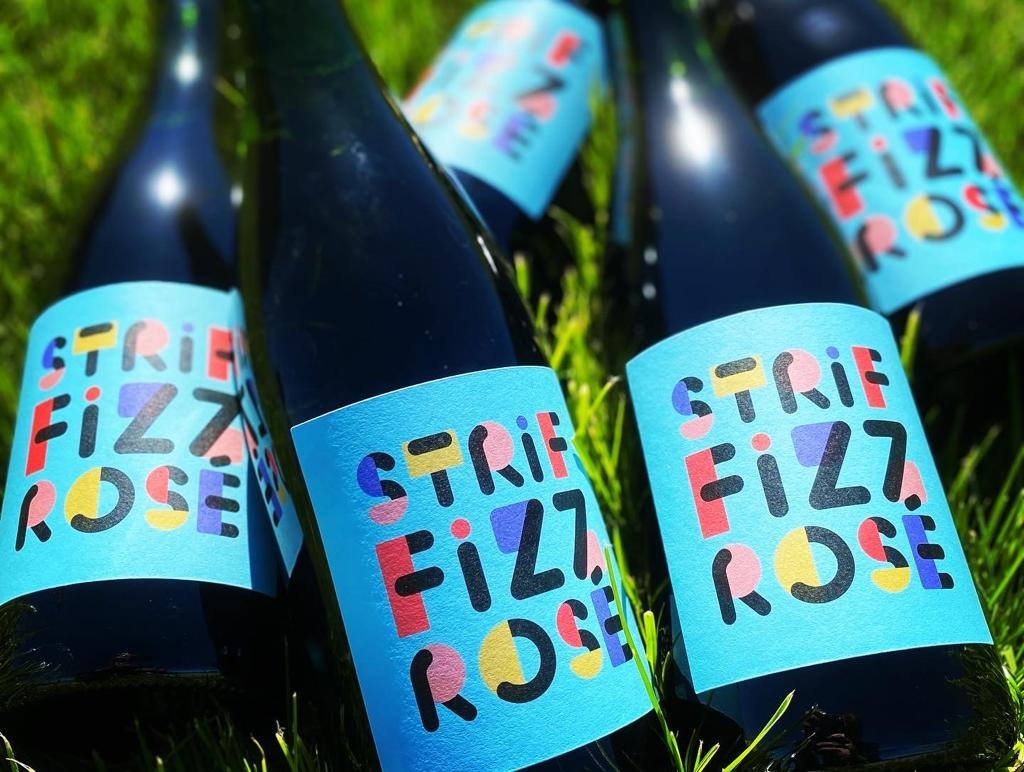 Visite des vignes au cuvage et dégustation au domaine Striffling_Régnié-Durette