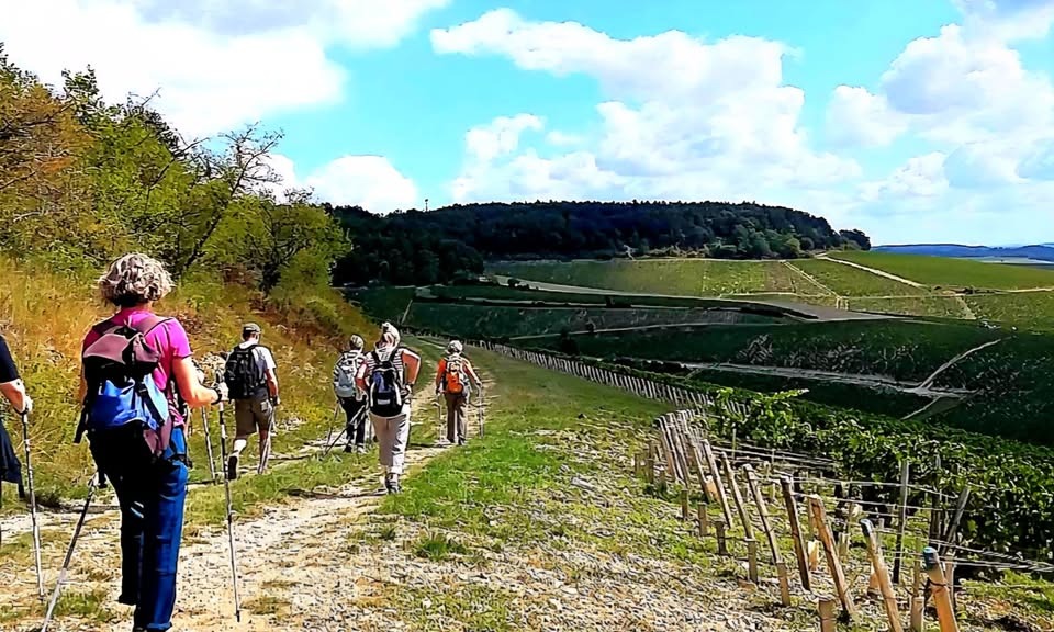 Marche nordique puis casse croûte Beaujolais_Chiroubles