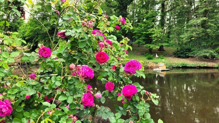 Le Jardin des Eaux - Apéritif Insolite_Sarcey