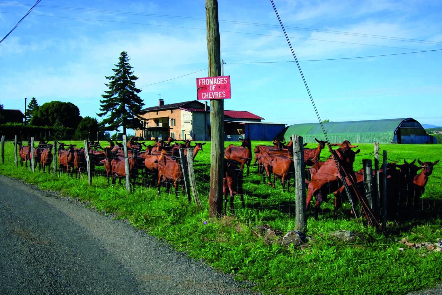 Bruno et Corinne Nesme - Rencontre avec un producteur_Charnay