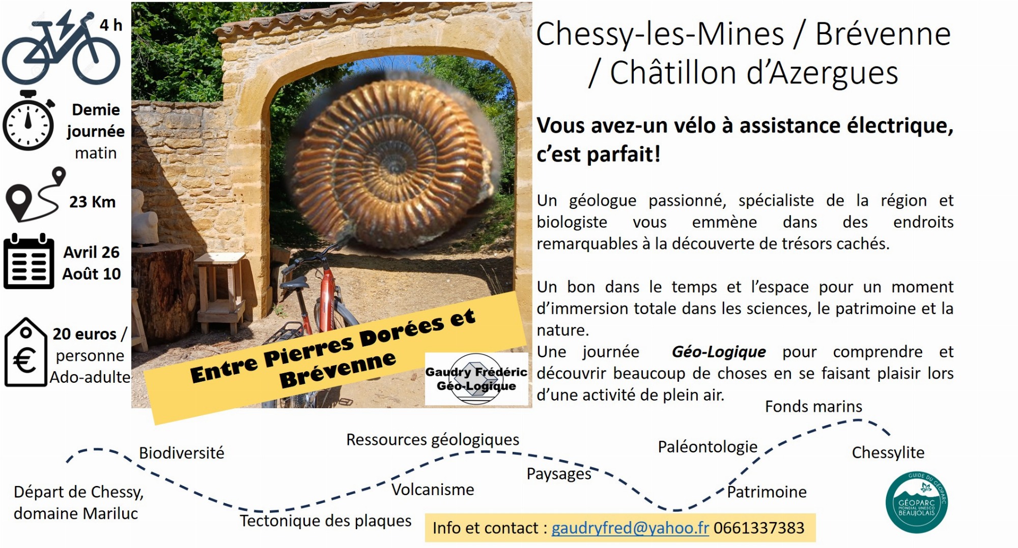 affiche F Gaudry pierres dorées Brévenne