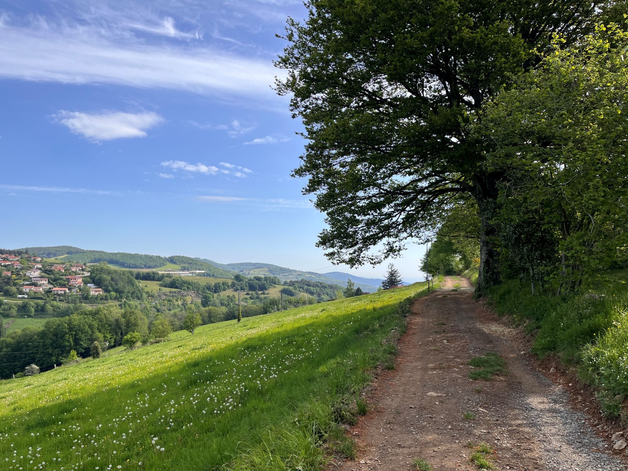 Vue depuis le sentier