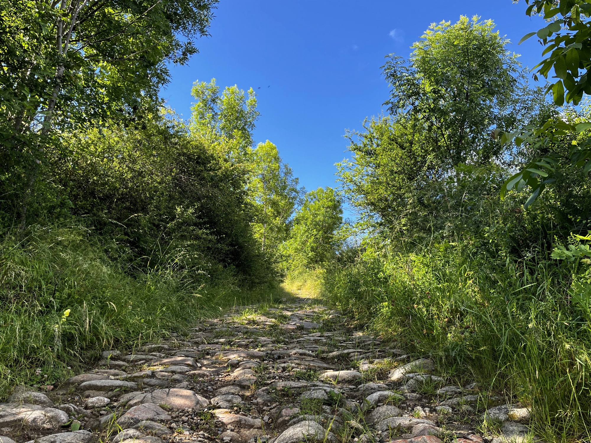 Chemin