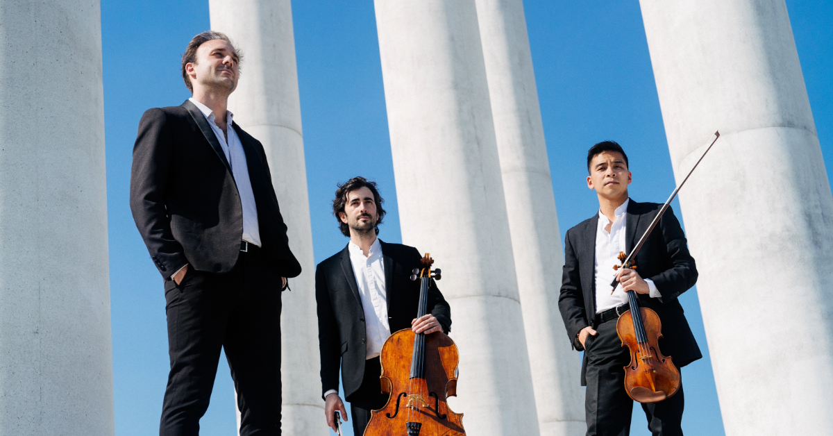 Trio Zadig