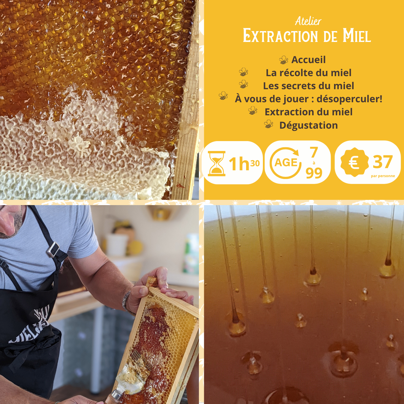 Découvrez l'extraction de miel_Ferme miélifique_Mornant