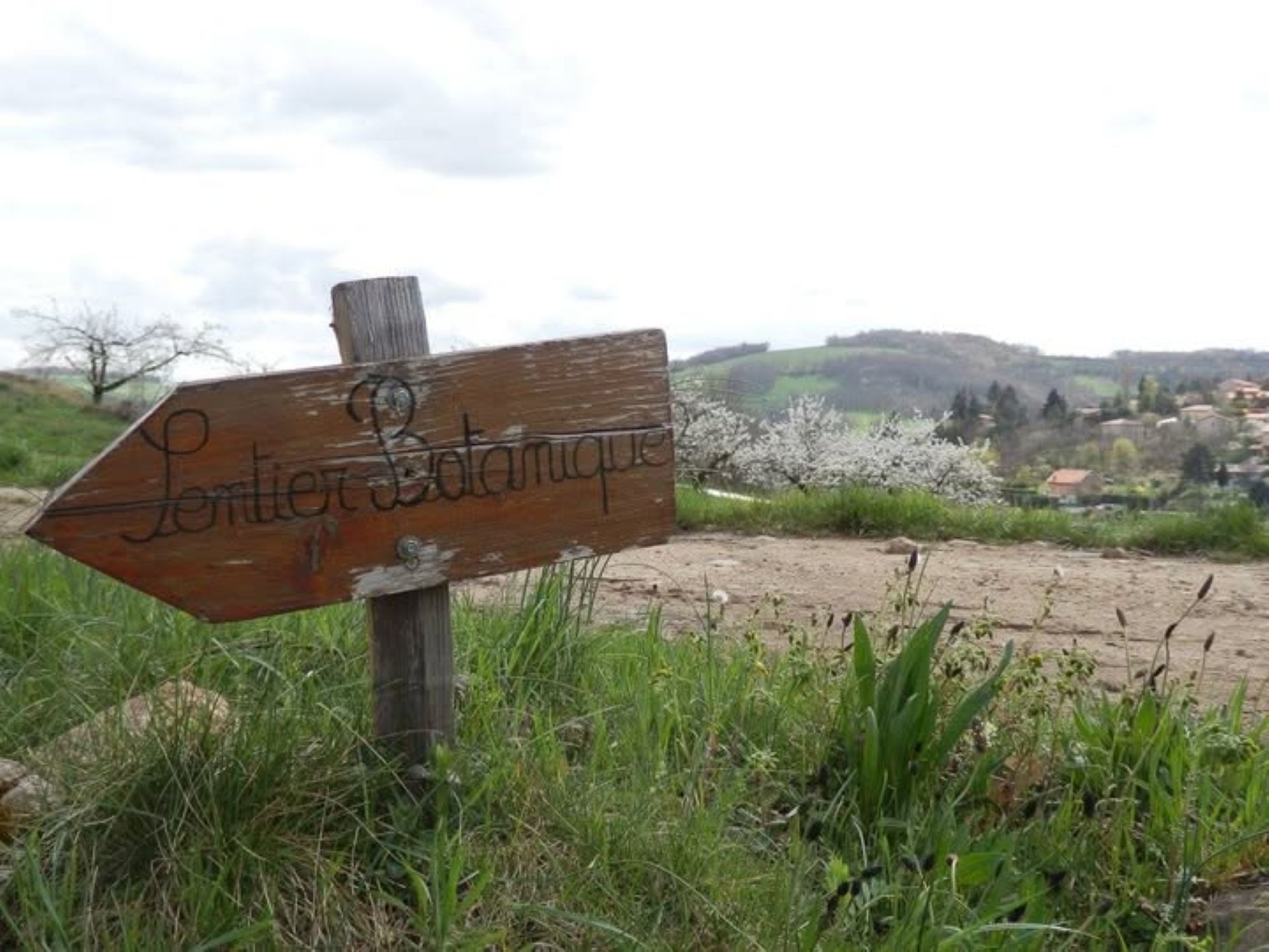 Sentier botanique_médiathèque_Rontalon