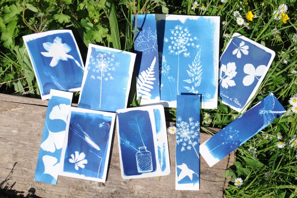 Atelier cyanotype, pour voir la vie en bleu_Chaponost