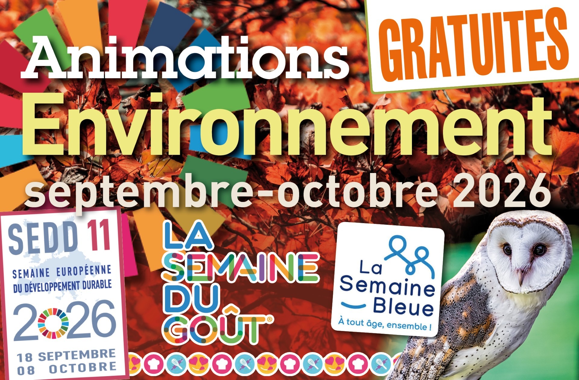 Animations Environnement CCSB 2026