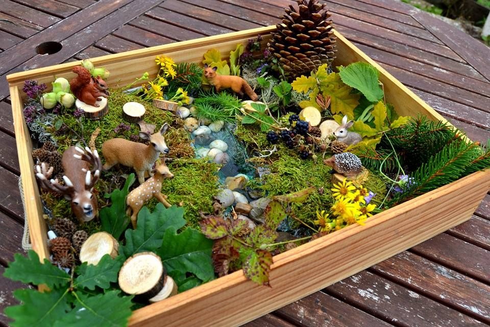 Les Jardins de la Manu_Thizy-les-Bourgs
