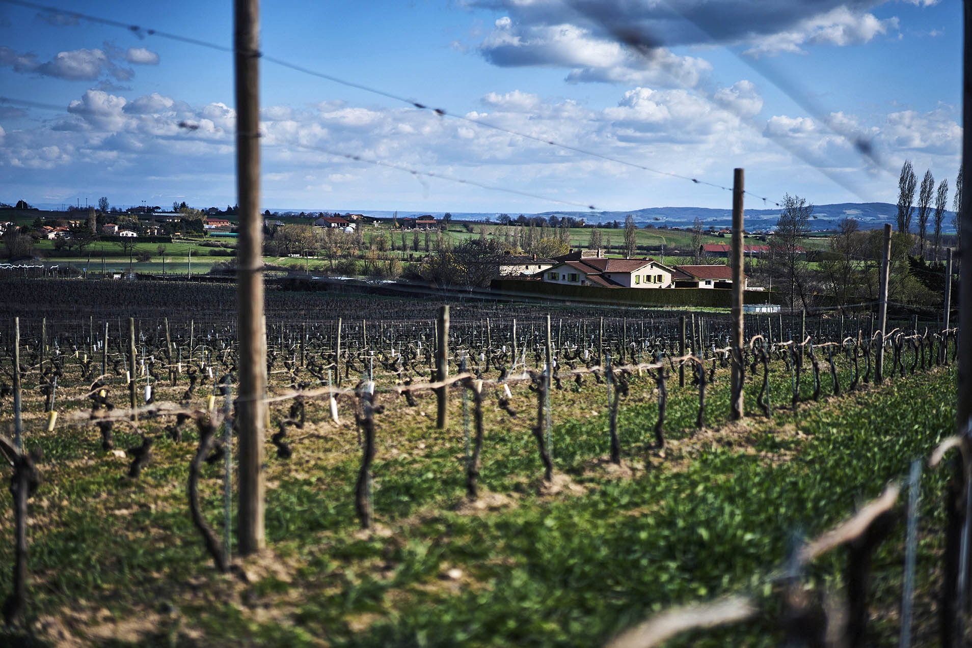 Domaine de Prapin_Taluyers