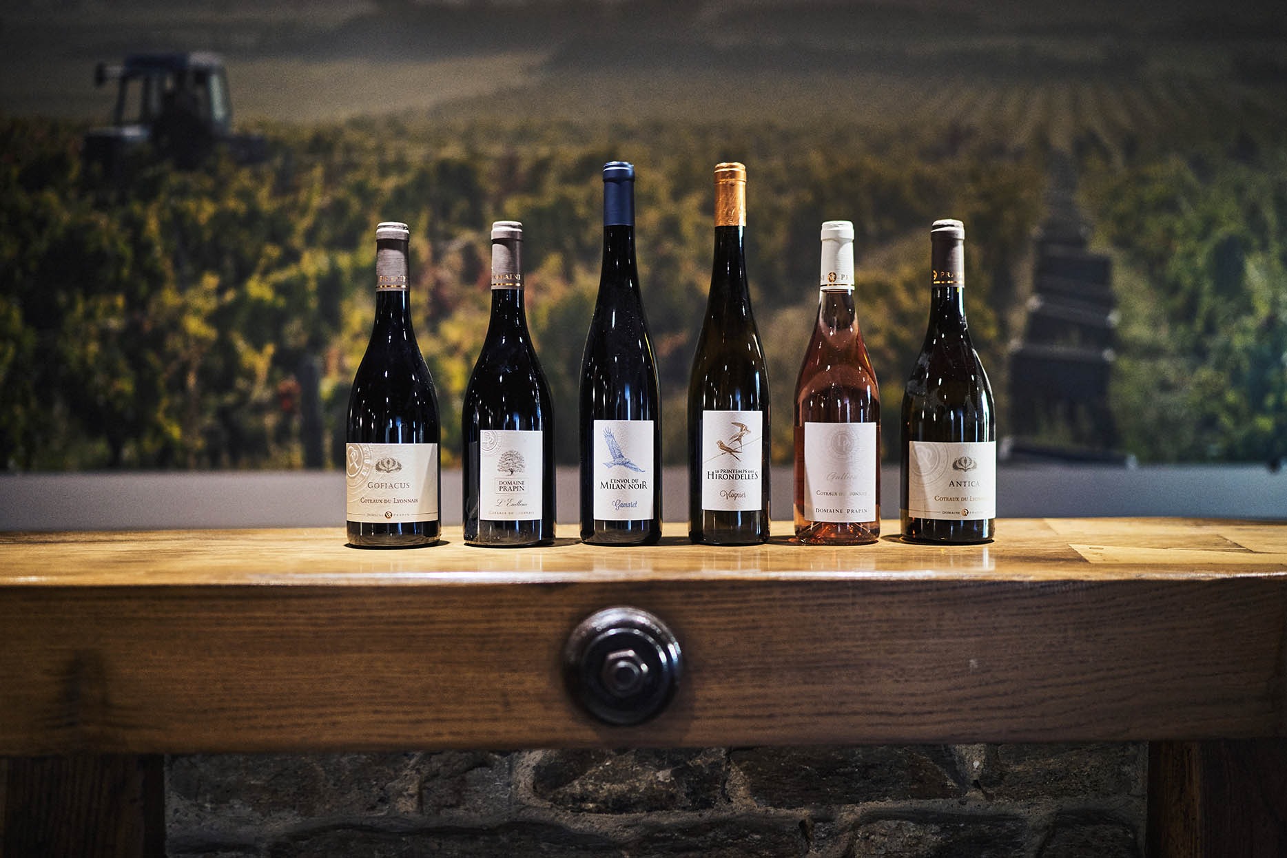 Domaine de Prapin_Taluyers