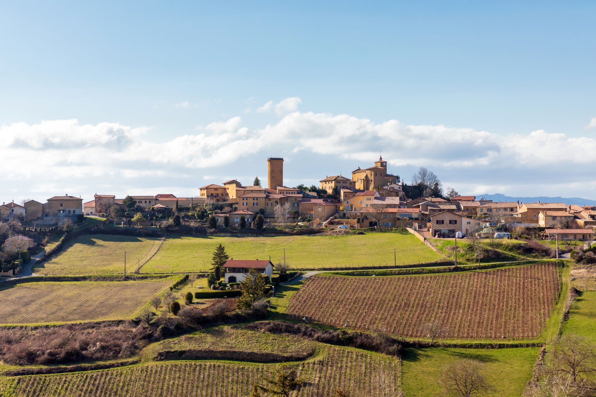 Vue de loin sur le village d'Oingt classé parmi les