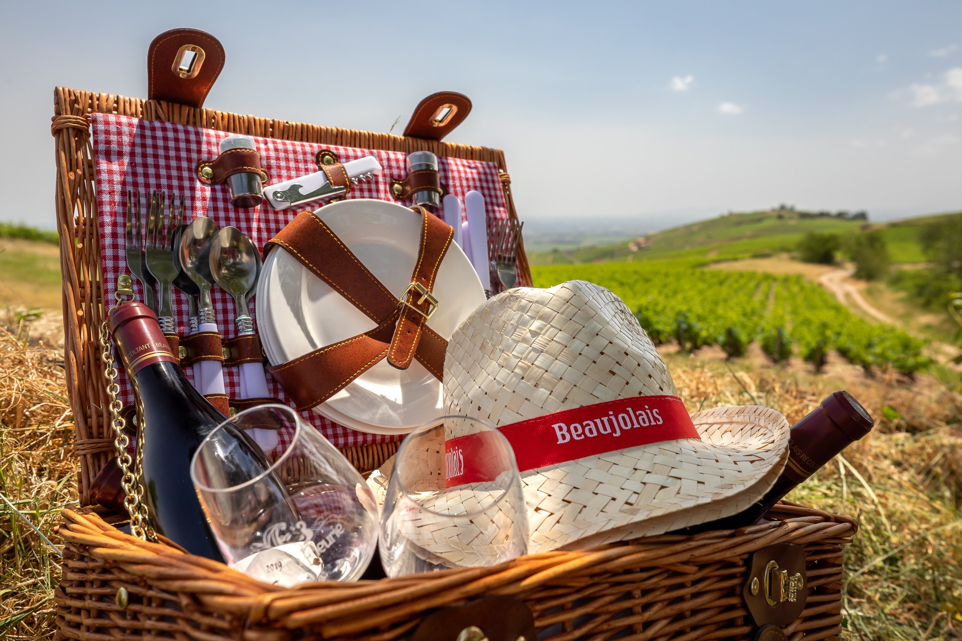 Panier de pique-nique avec sa vaisselle, une bouteille de vin rouge et un chapeau de paille. Extérieur avec des vignes en arrière plan