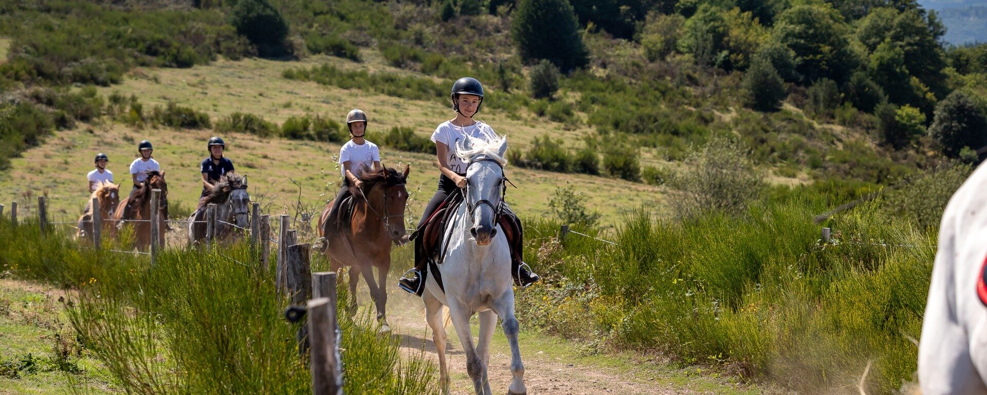 5 jeunes cavaliers et cavalières se suivent à cheval. Ils randonnent en été dans les landes du Beaujolais.
