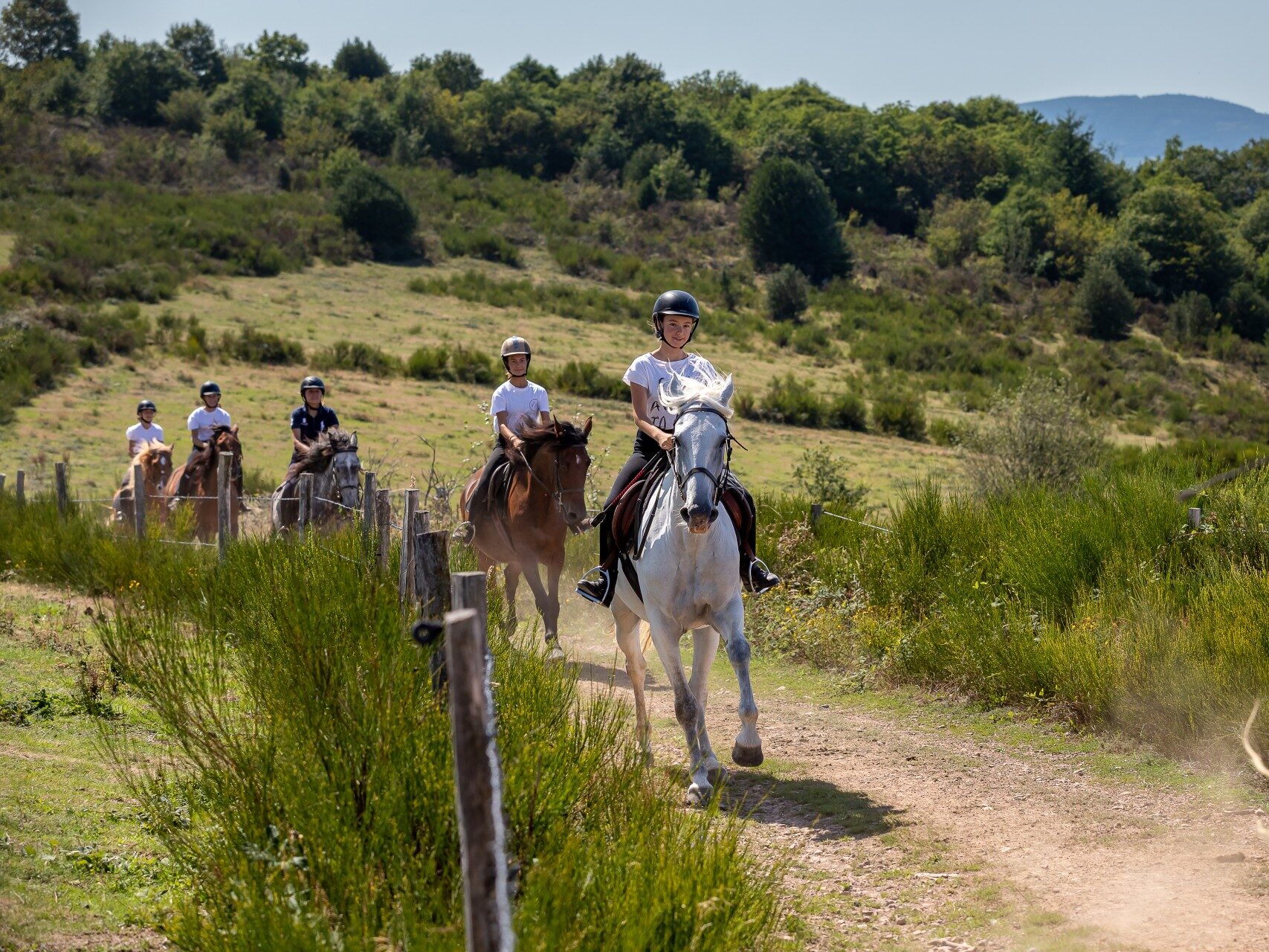 5 jeunes cavaliers et cavalières se suivent à cheval. Ils randonnent en été dans les landes du Beaujolais.