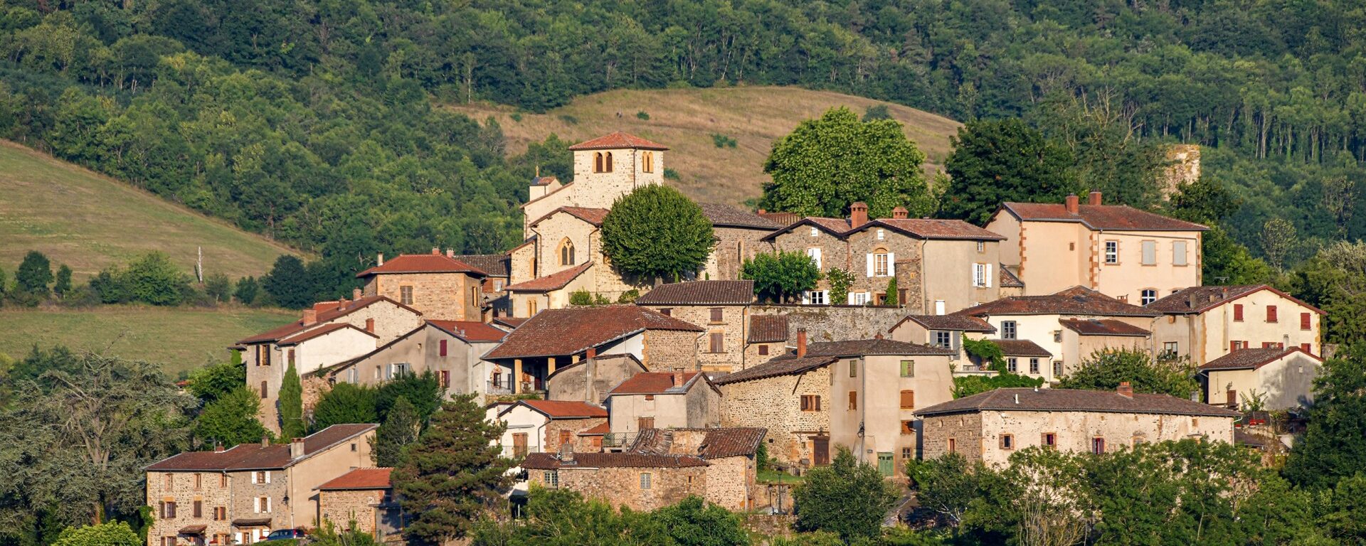 Vue panoramique de ternand, entouré de nature