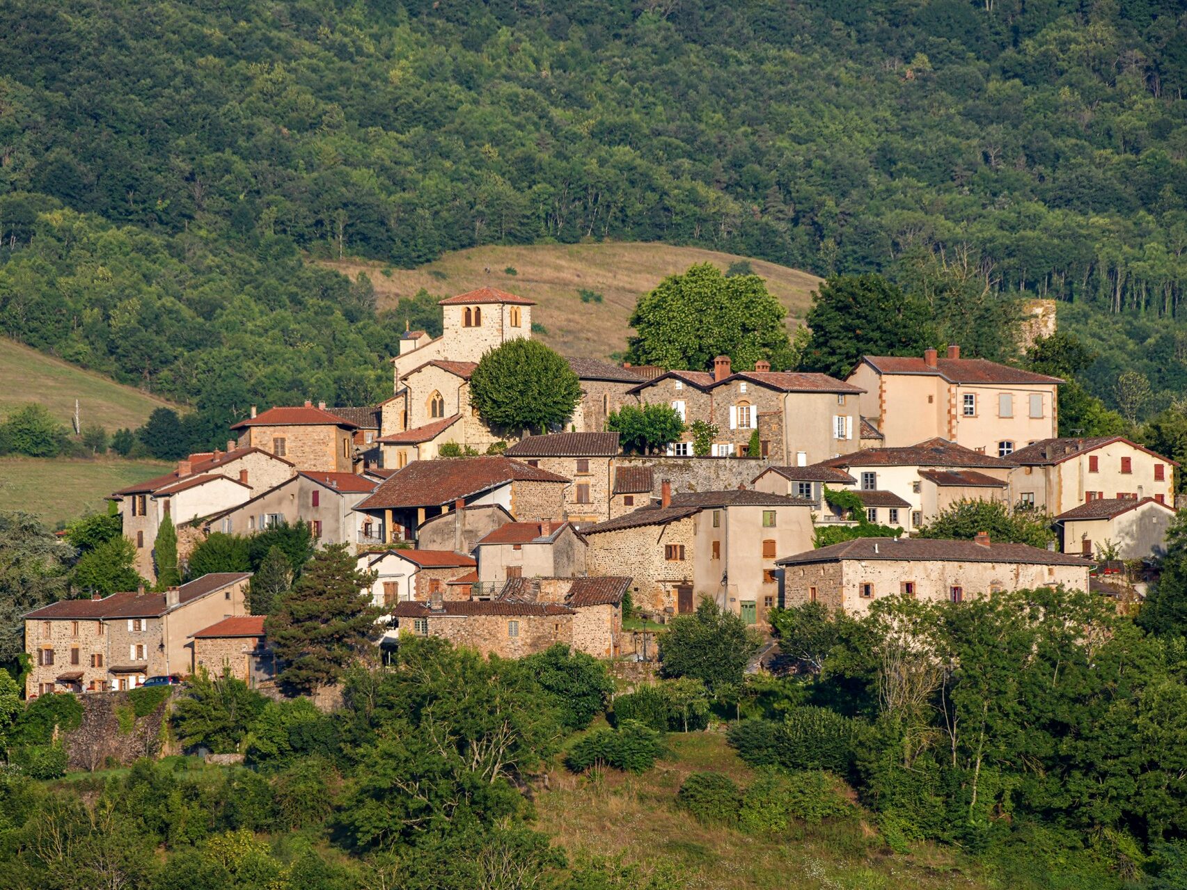 Vue panoramique de ternand, entouré de nature