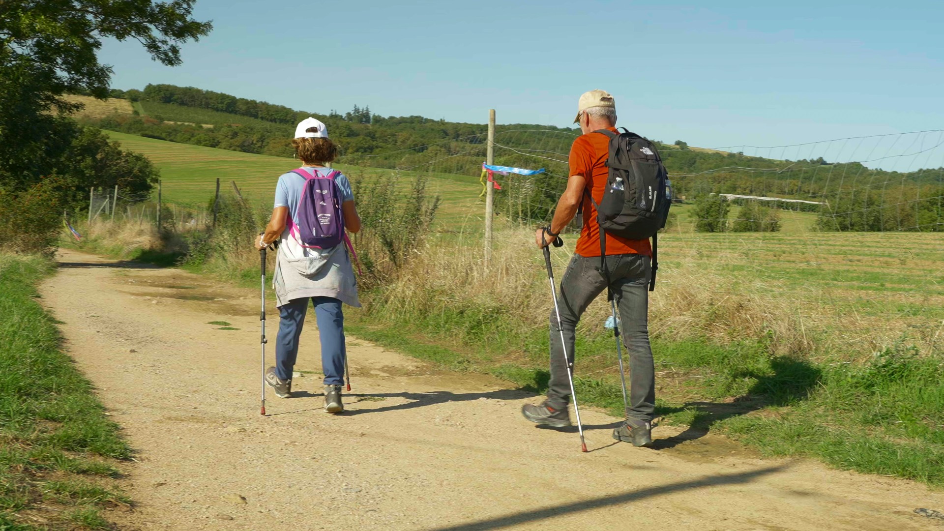randonnée dans les monts du lyonnais