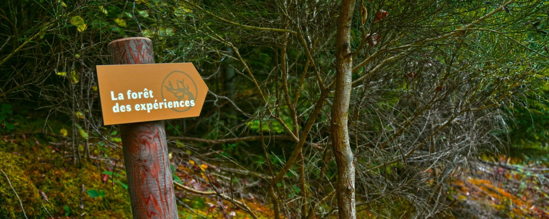 panneau où il est écrit forêt des expériences, localisé dans le beaujplais