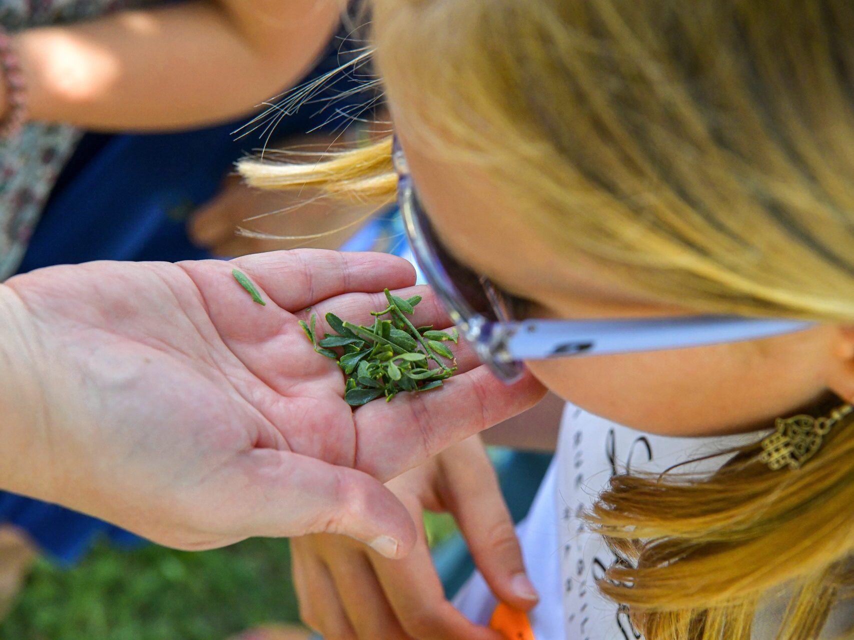 Enfant analysant une plante au musée et site de saint-romain-en-gal