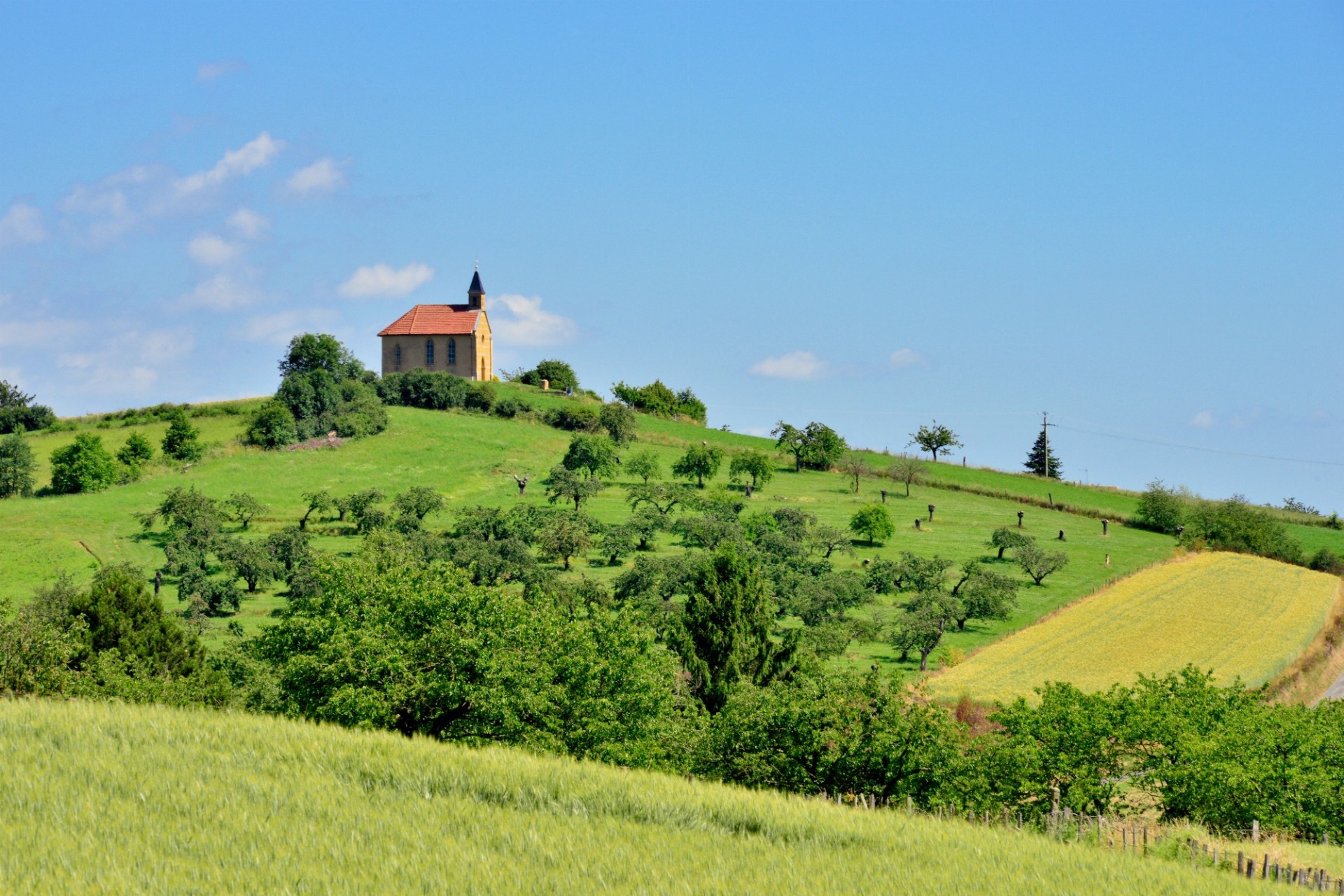 paysage vert arbresle