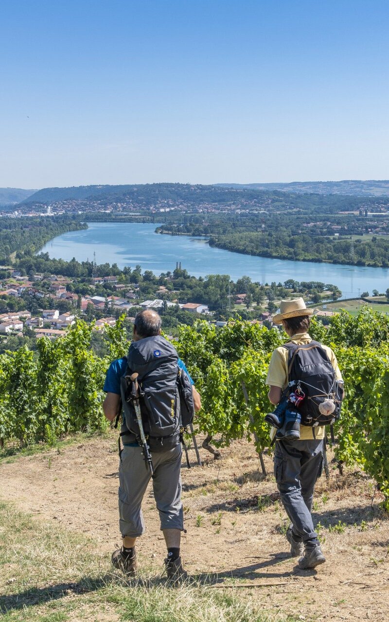 Dos excursionistas con mochilas y bastones regresan a través de los viñedos para llegar a Condrieu, con el Ródano y sus meandros a la vista.