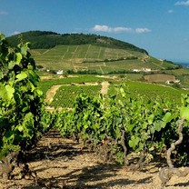 Mont Brouilly